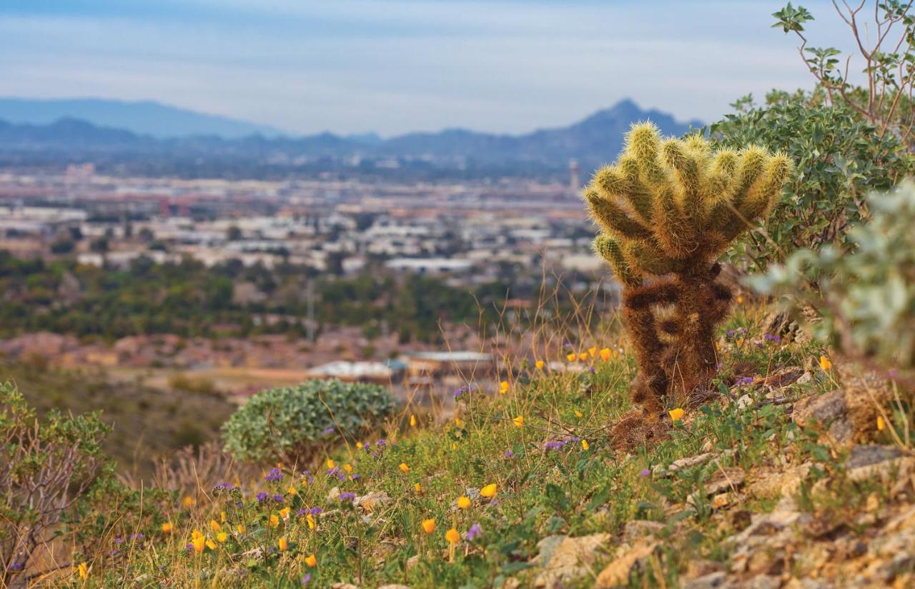 Raintree At Phoenix South Mountain Preserve Экстерьер фото